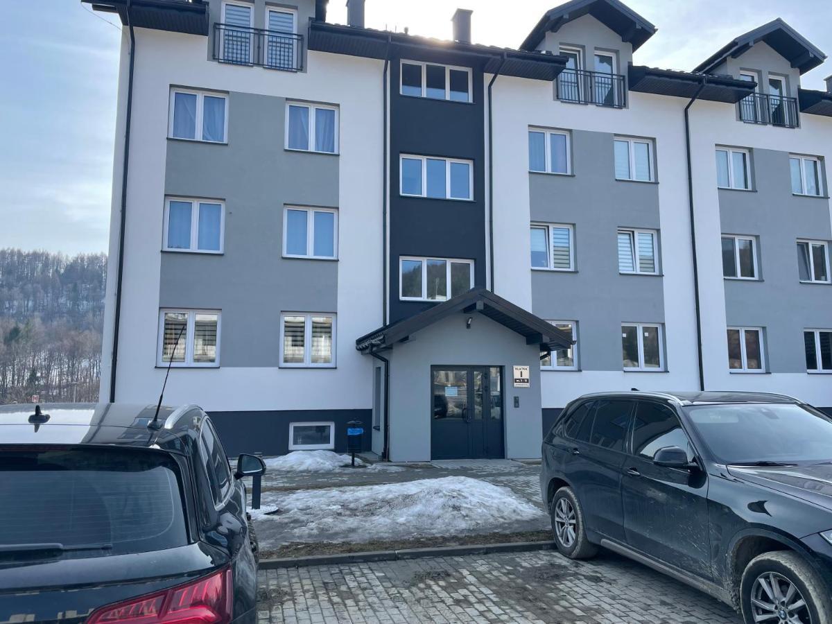 Apartament Modern Ustrzyki Dolne Eksteriør billede